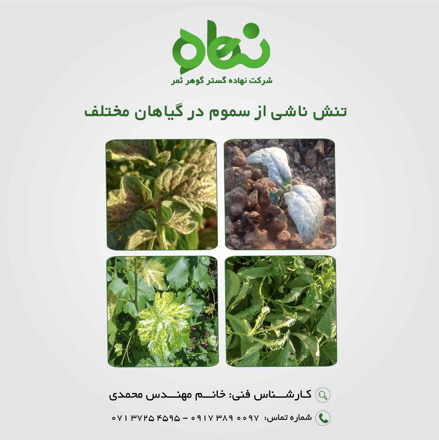 تنش ناشی از سموم در گیاهان مختلف